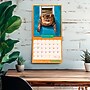 2026 BrownTrout  Cranky Kitties 12" x 12"  Monthly, Paper Cover,  Cranky Kitties (9798330701414)~#|#~001831F9-73FA-4E45-B50AB23D1E8E08AF_sc7