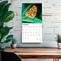 2026 BrownTrout Butterflies 12" x 12" Monthly Wall Calendar (9798330702695)~#|#~001E3A4D-94CC-43C9-8904BC67152D51D6_sc7