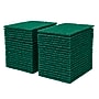 BISON LIFE Medium Duty Scouring Pad, Green, 480 Pads/Pack (BPKH-ES-SP-GR-40A)~#|#~00985CC3-84A4-468A-BCF822B295043C1A_sc7