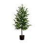 Nearly Natural Artificial Norfolk Pine Tree, 4' (T4708)~#|#~00B2E68D-6C71-46F8-A7612B7C5289ED7E_sc7