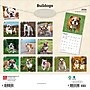 2026 BrownTrout Bulldogs 12" x 12" Monthly Wall Calendar (9798330703210)~#|#~00F08FBF-4AB7-4B30-9A1CBA7A4ADE2321_sc7