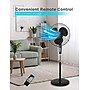 Black & Decker 18" Oscillating Pedestal Fan, 3-Speed, Black (BFSR18"B)~#|#~0133E57E-7B0C-4128-BA549F9317EA31A2_sc7