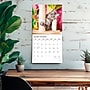 2026 Plato I Love Cats 12" x 12" Monthly Wall Calendar (9798330706808)~#|#~014A8FA3-6056-4DC8-9343E05D54117EB5_sc7