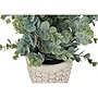 Monarch Specialties Inc. Eucalyptus Grass in Pots, 2/Pack (I 9581)~#|#~0189E054-A498-46D9-8137DDBF383A241F_sc7