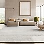 Safavieh Adirondack Collection 8' x 10' Rectangle Area Rug, Machine Made, Ivory/Silver (ADR113B-8)~#|#~01A368B0-80D8-49D3-94CDC7BCC266F4EE_sc7