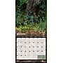 2026 BrownTrout Mossy Oak American Camo 12" x 12" Monthly Wall Calendar (9798330707751)~#|#~01B19966-3812-4B63-878B14EC0EBB49EF_sc7