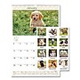 2026 AT-A-GLANCE Puppies 15.5" x 22.75" Monthly Wall Calendar (AAGDMW16728)~#|#~0216283B-5BAC-4698-B9638CDB36340321_sc7