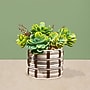 Lifelines FlowCrafts: Cord-Wrapped Planters (167005)~#|#~028978AA-0C15-427E-A7B9FCEA09BE2F79_sc7