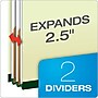 Pendaflex Classification Folder, 2-Dividers, Letter Size, Light Green, 10/Box (17173EE)~#|#~0329CB67-4820-4DDB-BD1E06B4419CB990_sc7