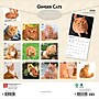 2026 BrownTrout Ginger Cats 12" x 12" Monthly Wall Calendar (9798330703425)~#|#~041D4D44-BF6C-4805-B8DEF094389354EA_sc7