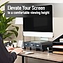 Mind Reader Monitor Stand, Up to 22 lbs., Black (MONSTA3D-BLK)~#|#~043EC9DD-1AF4-48CD-929D5C9E62C63E12_sc7