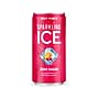Sparkling Ice Mini Fruit Punch Flavored Sparkling Water, 7.5 fl. oz., 30 Cans/Carton (FG00619)~#|#~0444AE6B-62A8-4CDF-82C2CEE465A6EABF_sc7