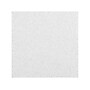 Armstrong ULTIMA Beveled Tegular Edge Ceiling Tile, 24" x 72", White, 6/Carton (BP1981)~#|#~0503FDEC-4073-46B5-B89B33A2CB300AE2_sc7