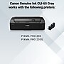 Canon 65 GY Gray Standard Yield Ink Cartridge (4219C002)~#|#~054C3676-961C-458D-B9DE7AD3321EB2C9_sc7