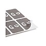 Smead® Alpha-Z Color-Coded Second Letter "G" Labels, 10 Labels Per Sheet, Gray, 1"H x 1 5/8"W, 100 Labels/Pk~#|#~058D246A-A381-40E8-8B6CA351D2E5B65E_sc7