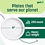 Perk Eco 9 Inch Paper Plates, 250 Count Bulk Disposable Plates for Everyday Meals, Parties & Events~#|#~05FA9827-AC92-410F-8C942FBA52B9D090_sc7