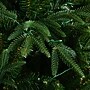 Nearly Natural 6' Pre-Lit Artificial Edmonton Fir Light Show Memory Shape Christmas Tree (T4785)~#|#~0635AACC-F286-4E13-91BD8BF6F8BC7238_sc7