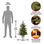 National Tree Company 3' Pre-Lit Nordic Spruce Artificial Christmas Tree (PENS1-333-30-1)~#|#~064C442E-15AE-4B7C-A3EE3918AE8F7AD3_sc7