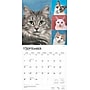 2025 BrownTrout Cat Lovers 12" x 12" Monthly Wall Calendar (9781975476793)~#|#~064D89AA-CD63-4C85-B0264CE8801FE8A4_sc7