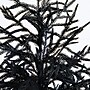 Nearly Natural Artificial Halloween Real Touch Black Norfolk Pine Christmas Tree, 5' (T5243)~#|#~06735AF1-A5D6-471B-B95540EC003F7B7D_sc7