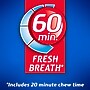 Dentyne Ice Sugar Free Peppermint Gum, 16 Pieces/Pack, 9 Packs/Box (VAM05111)~#|#~07206D74-31B7-423B-BBA8A6A56141DF90_sc7