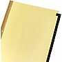 Business Source 1-31 Black Leather Tab Index Dividers (BSN01182)~#|#~073E52DB-F232-4A40-B6954CF82600D90B_sc7