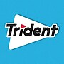 Trident Sugar Free Wintergreen Gum, 16 oz., 14 Pieces/Pack, 12/Pack (304-00058)~#|#~0763D7F7-FCD8-4D91-A301602D44DACDE3_sc7