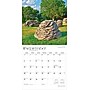 2026 BrownTrout Kansas Wild & Scenic 12" x 12" Monthly Wall Calendar (9798330704026)~#|#~080FEBD6-5912-4541-8D2705DCD739053D_sc7