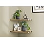 Monarch Specialties Inc. 8" Artificial Alocasia Plant in Pot, 2/Set (I 9559)~#|#~083D24A3-26C5-4664-9FEBB4FF9ACB1F91_sc7