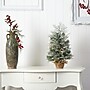 Nearly Natural 2' Winter Frosted Artificial Christmas Tree (T3328)~#|#~085A4815-8A9E-4771-A9EBB38DE69FC67E_sc7
