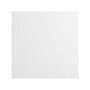 Armstrong KITCHEN ZONE Square Lay-In Edge Ceiling Tile, 24" x 24", White, 16/Carton (BP673)~#|#~0893BBE4-CA27-4699-A43F5005CF65A565_sc7