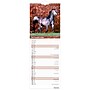 2026 BrownTrout Horse Lovers 5.88" x 16.5" Monthly Wall Calendar (9798330703722)~#|#~09852B7D-CCBA-428C-A4A42C0ADBC6A34F_sc7