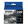 Epson T220 Black Standard Yield Ink Cartridge, 2/Pack (T220120-D2)~#|#~09C9FFF2-3F28-48C3-8D74604BAC6385E2_sc7