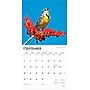2026 BrownTrout Songbirds 12" x 12" Monthly Wall Calendar (9798330705634)~#|#~09CE6FAC-81C6-4D05-B854D3B2B6BCEA4E_sc7