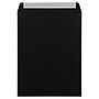 JAM Paper 10" x 13" Open End Catalog Envelopes, Black, 10/Pack (87733B)~#|#~0A03EAE2-8E19-4167-9147DE3E429D77D4_sc7