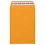 JAM PAPER Self Seal Catalog Envelopes, 5 1/2" x 7 1/2", Brown Kraft Manila, 100/Pack (400238465D)~#|#~0A04909B-0406-4C3A-9948FA2FFBCA1358_sc7