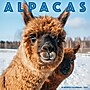 2027 Willow Creek Alpacas 12" x 12" Monthly Wall Calendar, Assorted Colors (58695)~#|#~0A84F2C4-2DC2-48E8-B7134F765AD2E391_sc7