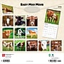 2026 BrownTrout Baby Moo Moos 12" x 12" Monthly Wall Calendar (9798330702282)~#|#~0A85795F-5D3D-4E01-8E103DD553A72BDE_sc7