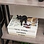Mind Reader Lucky Wealth Elephant Figurine, Black (ELEPHANT-BLK)~#|#~0AFD41CA-2120-48AA-BD44AEE56A59DDDE_sc7