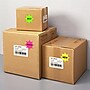 Avery Sure Feed Laser Burst Label, 2 1/4" Dia, Assorted Neon, 180 Labels/Pack (5995)~#|#~0BA5CA7B-5965-4C5E-92499F9130543524_sc7