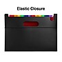 Staples Plastic Accordion File, 25-Pocket, Letter Size, Multicolor (TR45523)~#|#~0BAC0BEF-11E5-45B7-8AF29DC67EB8B647_sc7