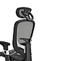 Staples Hyken Ergonomic Mesh Swivel Task Chair, Charcoal Gray (UN59464)~#|#~0BDCA9BA-FD71-44B0-BFF1CACD9E0304FA_sc7