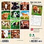 2026 BrownTrout Baby Moo Moos 7" x 7" Monthly Wall Calendar (9798330702275)~#|#~0C1874F6-A8FB-4411-AEEE514737301B92_sc7