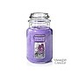 Yankee Candle 22 OZ Jar Candle, 72/Box~#|#~0C63FA9B-2558-4DFC-9799E019A0B2FE6F_sc7