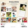 2026 BrownTrout Kittens & Puppies 12" x 12" Monthly Wall Calendar (9798330704101)~#|#~0D301C13-D942-4268-BC8158B7BB984D4E_sc7