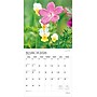 2026 Plato Wildflowers 12" x 12" Monthly Wall Calendar (9798330706662)~#|#~0D367A8F-95A6-4088-B177AACCA6D6B796_sc7
