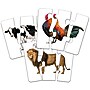 The Learning Journey Match It! Head to Tail (LJI345726)~#|#~0D516B9B-AF75-43BB-B33D8275AB5F2A19_sc7
