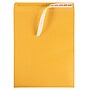 JAM Paper Self Seal Catalog Envelope 11 1/2" x 14 1/2", Brown Kraft Manila, 50/Pack (13034235i)~#|#~0DB71460-D1EA-43A6-849916FF8C3AF530_sc7