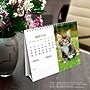 2026 BrownTrout Kittens 7.5" x 6" Monthly Desk Calendar (9798330704118)~#|#~0E1BA249-2BB3-4801-B01A36C504BD09BA_sc7
