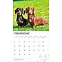 2026 BrownTrout For the Love of Dachshunds 14" x 12" Monthly Wall Calendar (9798330707140)~#|#~0E8B2154-ACD0-44E4-90D0EECF08984878_sc7